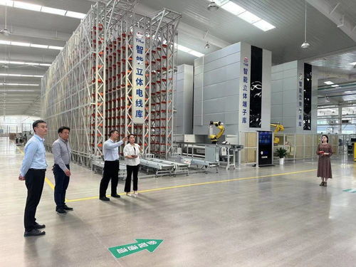 鶴壁經(jīng)濟(jì)技術(shù)開發(fā)區(qū)開展“一起益企”中小企業(yè)信息技術(shù)咨詢服務(wù)活動(dòng)